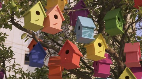 Colorful Wooden Bird Houses On the tree. Illustrate housing problem and mortgage loan