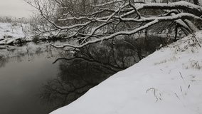 Beautiful winter view, trees in the snow by the river