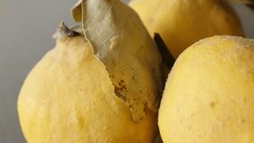 Tasty edible Cydonium slow pan 4K 2160p 30fps UltraHD footage - Quinces on the table close-up 3840X2160 UHD panning video