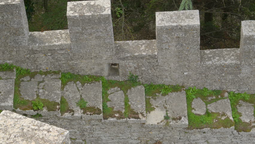 The tiny grasses on the stairs beside the wall of the Montale tower in San Marino Italy