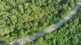 Beautiful view from a bird's eye view of the forest and the road, Aerial top view of fog over  Rainforest ecosystem and healthy environment concept