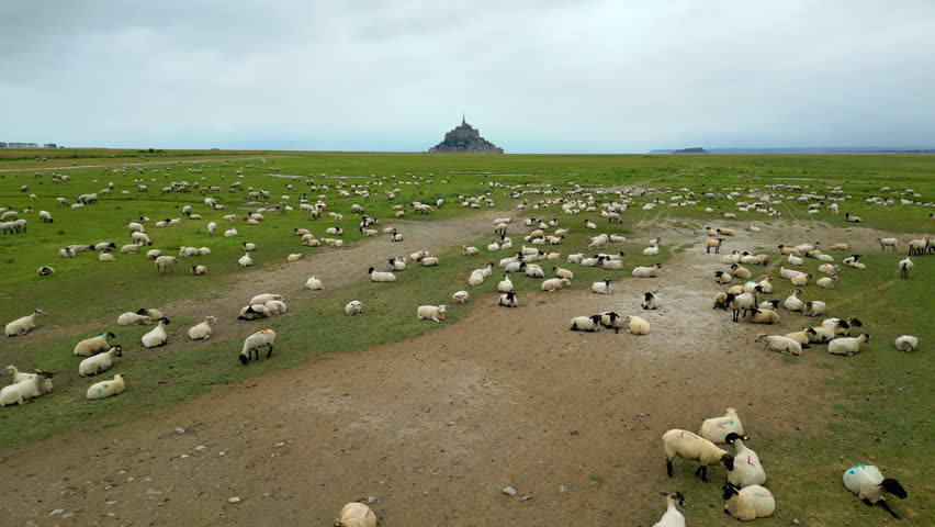 Mont Saint Michel, aerial drone view of iconic island and Benedictine monastery protected by UNESCO, Normandy, France, 4k