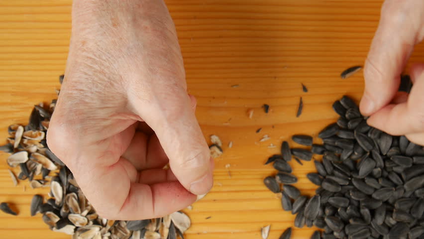 Grandmother cleans sunflower seeds.