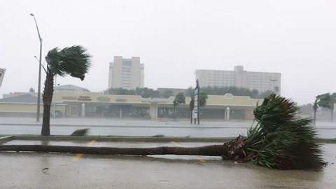 Hurricane Damage in Coastal Town