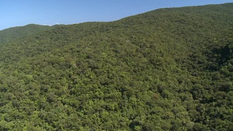 Aerial of Rainforest on mountain slope