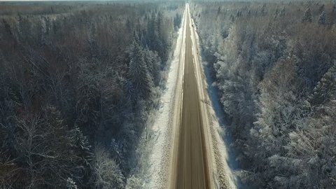 Road Frosty Forest