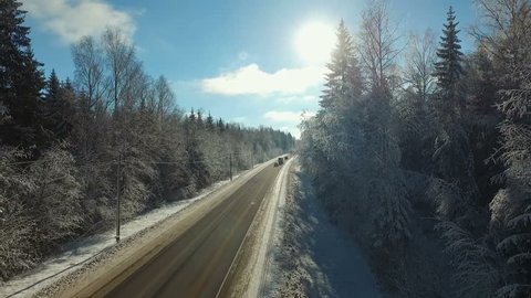 Road Frosty Forest