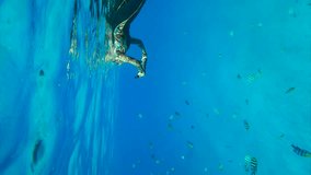 Woman in wetsuit, mask and fins swims on surface of turquoise water and films with an action camera many colorful tropical fish swimming next to her, Vertical video, Slow motion