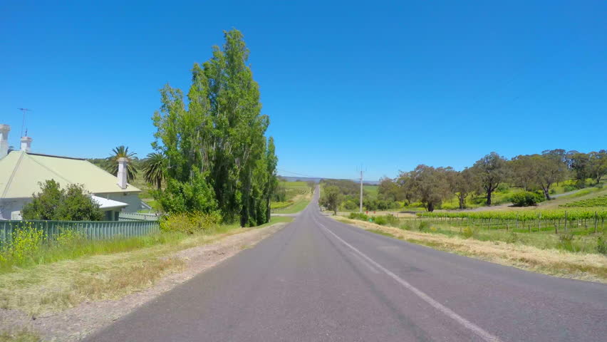 Vehicle POV, driving along scenic Field Street past rows of grape vines, in McLaren Vale, South Australia.