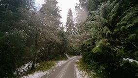 A little winter wonderland on Vancouver island (Sutton pass).