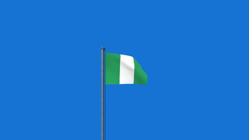 Nigerian flag waving in slow motion on blue background.Nigerian flag wavy motion ,Nigeria national flag, Patriots, Independence Day, Close-up of Nigerian Flag Royalty-Free Stock Footage #3390312217