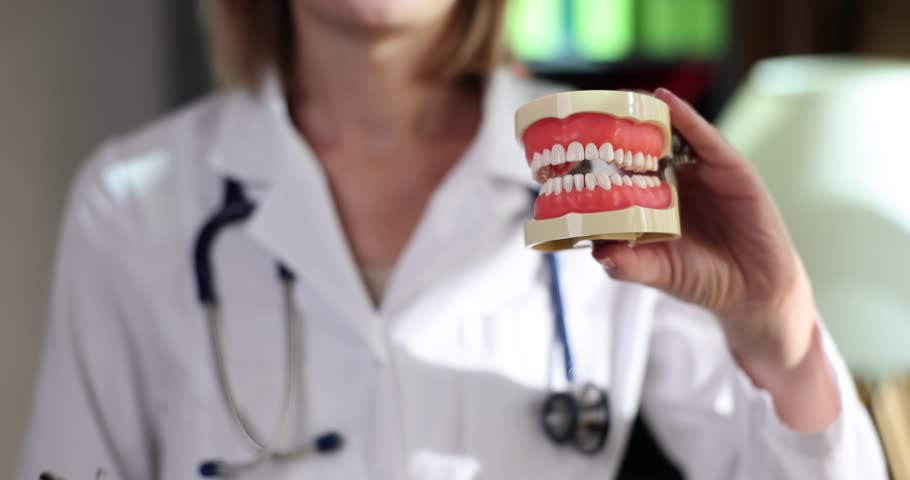 The doctor shows dental tools and a model of the jaw, close-up. Dental treatment, prosthetics, dentistry | Shutterstock HD Video #3390372325