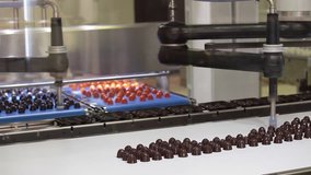 Picker line for chocolate bears, cookies, candies. Close up working process of transporter equipment