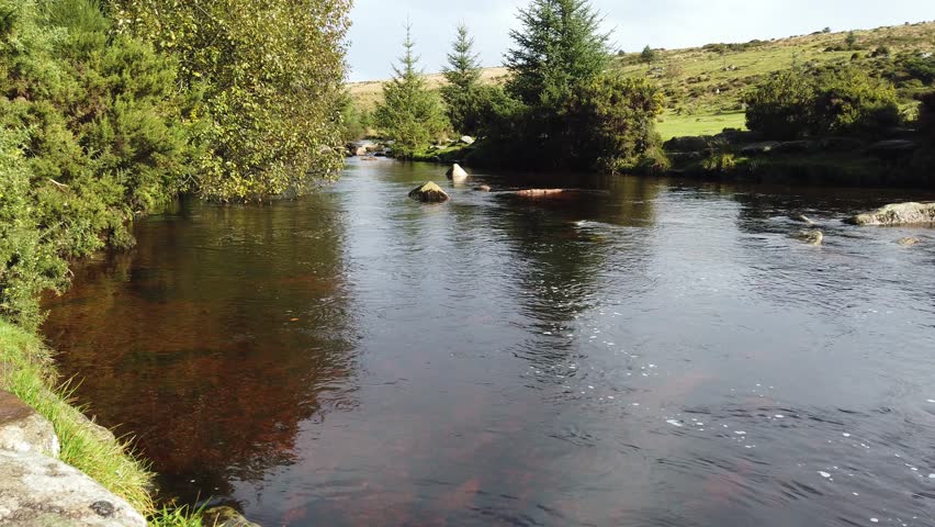 The East Dart River flowing through Bellever Forest in Dartmoot