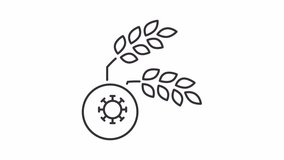 Crop disease line animation. Virus and wheat animated icon. Agricultural problem. Harvest loss prevention. Black illustration on white background. HD video with alpha channel. Motion graphic