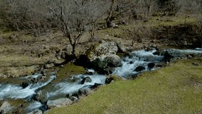 Aerial view of a mountain river, rushing stream flowing between rocks. Along the banks are trees without leaves, moss and green grass. Aerial view, drone footage.