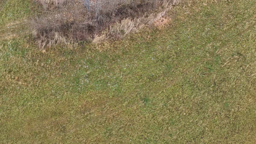 Towering cell structure in white and red, with various antennas, standing against a backdrop of autumnal nature.