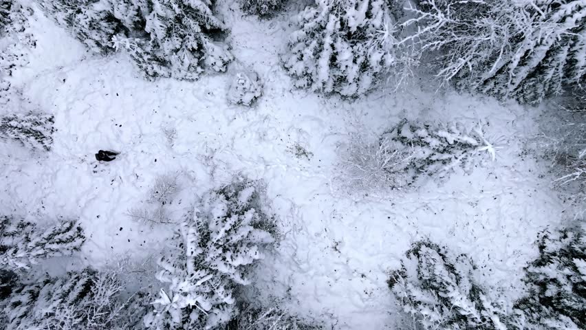Man is looking for a way in a snowy forest landscape. Trying to escape the cold and his thoughts of abandonment. December forest from a bird's eye view Royalty-Free Stock Footage #3391247275