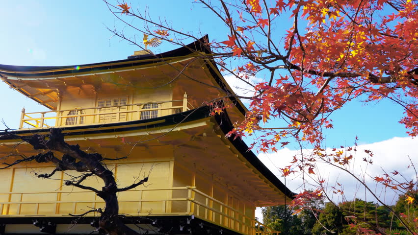 Colorful Autumn with Kinkakuji temple Golden pavilion in Kyoto, Japan
