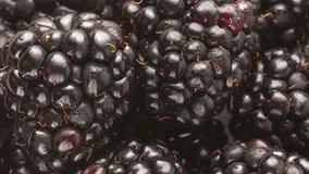 Vertical video. Closeup top view of a various fresh blackberries.