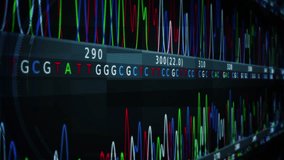 
DNA Genomes Sequencing, Deoxyribonucleic Acid Genetic Map and Genome Sequence Analyze. Scientific Animation of Genetic Graph showing ACGT values. Loopable - Powered by Shutterstock - Get 15% off with code: PIKWIZARD15