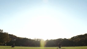 SHIBUYA, TOKYO, JAPAN : View of public park in sunset. Sunshine, grass and trees. Nature and ecology concept video. Time lapse shot.