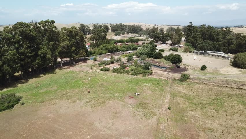 Aerial drone shot over farm land cows grazing beautiful scenic landscape