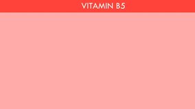 Animated videos of various foods containing vitamin b5 are suitable for education, explanations and presentations