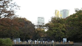SHIBUYA, TOKYO, JAPAN - NOVEMBER 2023 : View of Yoyogi park and buildings in sunset. Japanese urban city life and nature concept video.