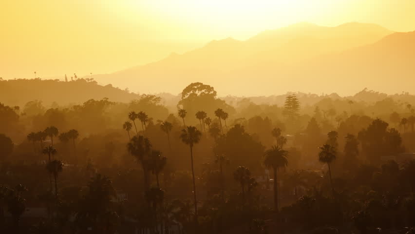 Birds eye view of sunset lights falling on trees tops and mountains, Santa Barbara, California, USA. Aerial view of city skyline with orange sky . Breathtaking landscape at the sunrise, 4k footage  Royalty-Free Stock Footage #3391604661