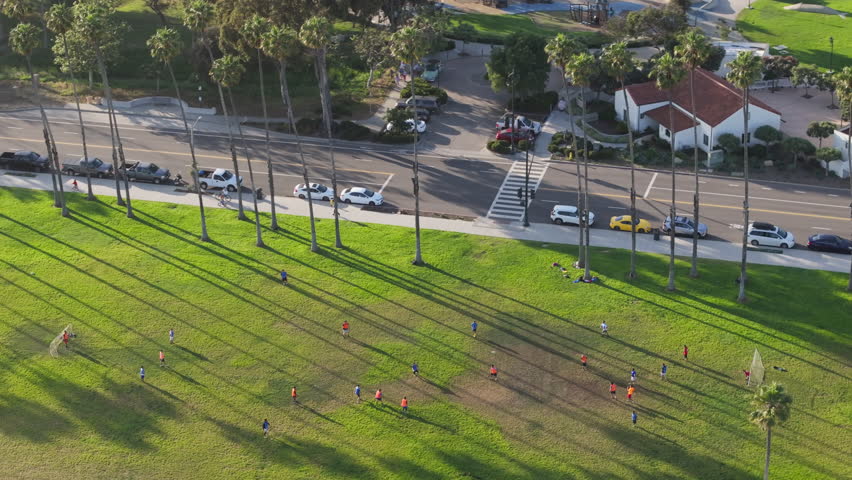 Drone shot of men playing football on green area with palm trees, Santa Barbara, California, USA. Overhead shot of male athletes training with soccer ball on sunny day. Sport concept, 4k footage  Royalty-Free Stock Footage #3391605111