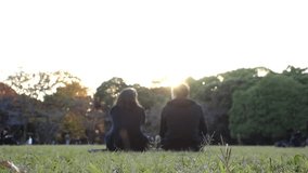 SHIBUYA, TOKYO, JAPAN : View of public park in sunset. Sunshine, grass, trees and back shot of couple. Nature, ecology, love and romance concept video. Slow motion shot.