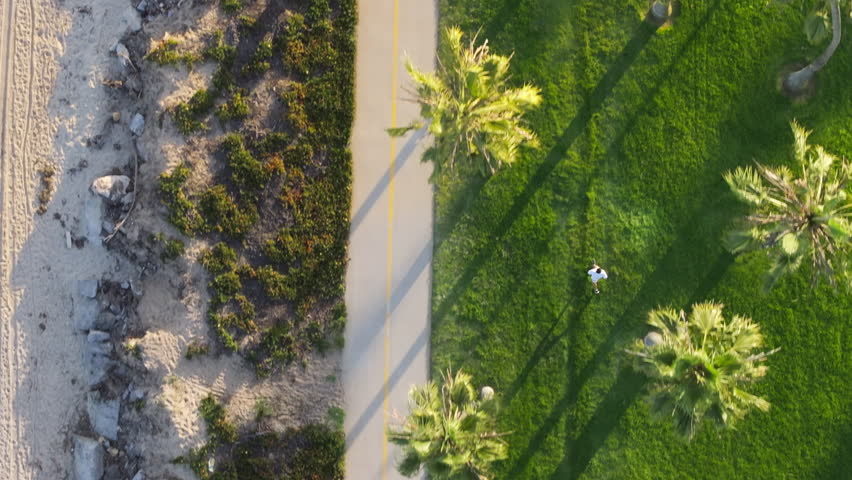 Top shot of man running in the city park of Santa Barbara, California, USA. Drone view of male jogger exercising along the beach with palm trees. Sportsman training body outdoors. Sport concept  Royalty-Free Stock Footage #3391606675