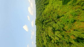 Vertical video. A dynamic FPV drone flight over dense tropical rainforest, capturing close-up views of towering trees and vibrant green foliage of lush jungle forest. Thailand.
