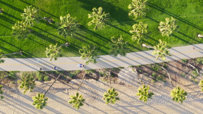 Top shot of men riding bicycles on the street of Santa Barbara city, California, USA. Aerial view of cyclists enjoying ride along the shoreline. Male athletes cycling on road with palms, 4k footage  Royalty-Free Stock Footage #3391613819
