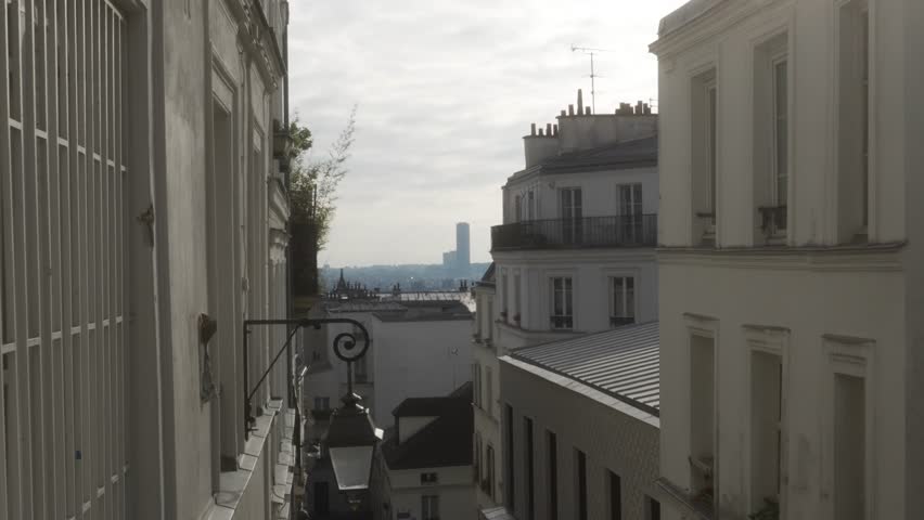 Scenic cityscape view of Paris behind french architectural buildings.