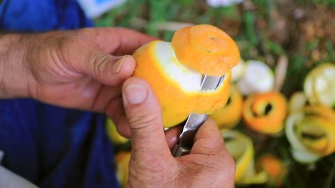 Peeling orange skin in the outdoors meadow. Closeup of hands peeling orange fruit slowly and meticulously