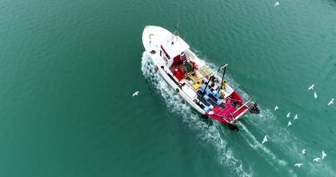 Fishing boat with seagulls flying around , aerial cinematic top view 4k