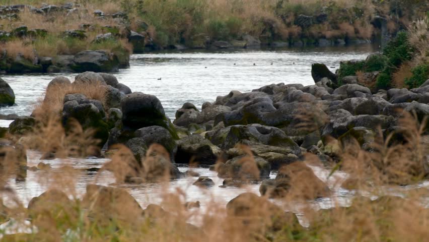 A rocky river landscape where time flows peacefully