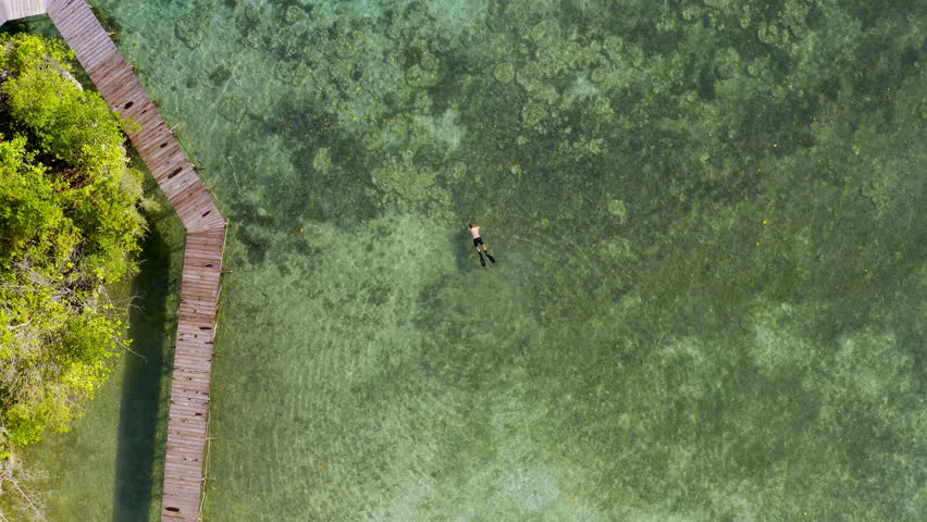 Person, drone and snorkelling in ocean, freedom and vacation in Indonesia for relaxing. Aerial, diver and recreation in water, fitness and exercise or exploration in sea, outdoor and carefree on trip