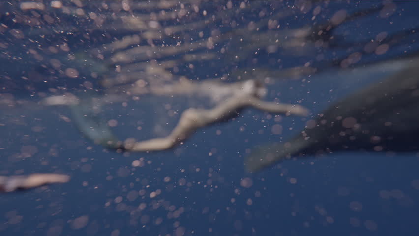 Close-up man dive with sperm whale swimming deep. Unique underwater video friendship, safe contact of man and sperm whale. Responsible whale watching safari tour travel. Wildlife marine mammal animals | Shutterstock HD Video #3391869385