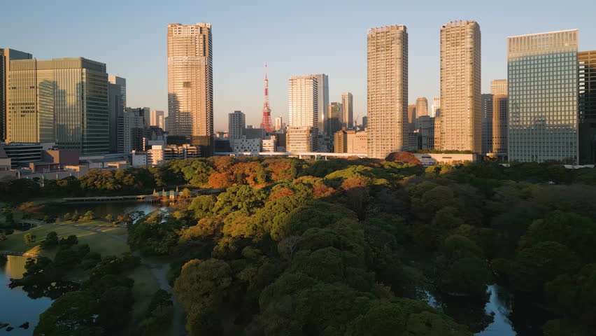 tokyo city skyline aerial view drone at sunrise flying over garden in the fall with minato ward district,modern building and skyscrapers in the background