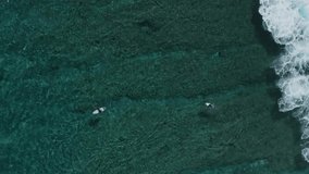 Aerial view of group of surfers in transparent tropical water of Indian ocean, Vertical video
