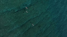 Aerial view of group of surfers in transparent tropical water of Indian ocean, Vertical video
