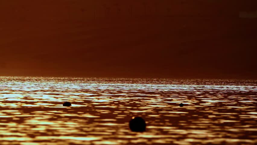 Blurred golden sea at sunset, sun reflects and shines on the waves with bokeh, illuminating the golden sea Royalty-Free Stock Footage #3392002779