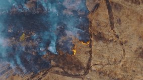 Aerial View. Spring Dry Grass Burns During Drought Hot Weather. Bush Fire And Smoke In Deforestation Zone. Wild Open Fire Destroys Grass. Nature In Danger. Ecological Problem Air Pollution.