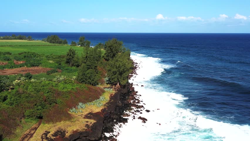 Aerial drone view of the rough south coast near Plage de Sable Noir with Filao trees, cliffs, breaking waves, Saint-Joseph, Reunion.