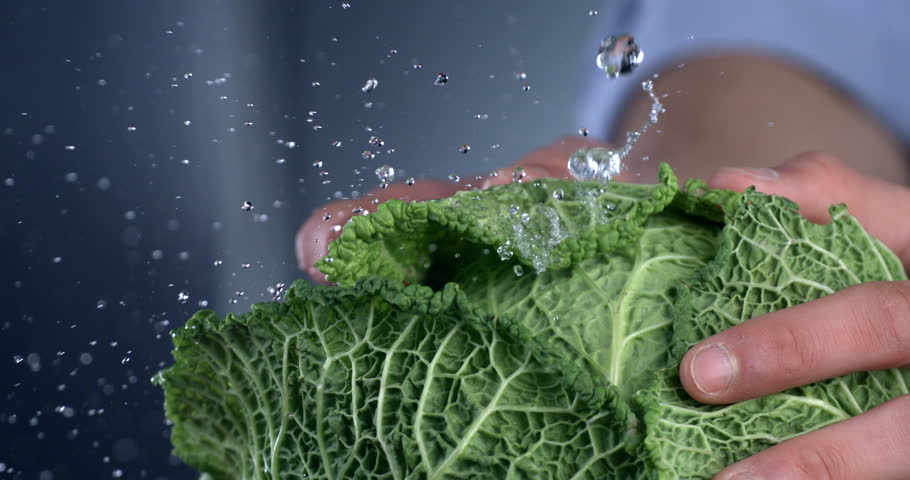 Super slow motion macro of splashing water drops are falling on fresh organic green savoy cabbage while being washed by chef  in kitchen of restaurant before be cooked. Royalty-Free Stock Footage #3392107489