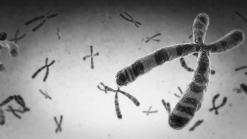 
Animation of Encoded Genetic Code, Microscopic Chromosomes Floating. Loopable. DNA. Royalty-Free Stock Footage #3392123261