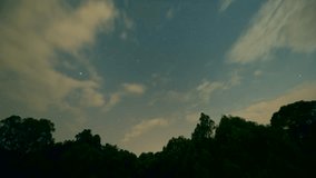 4K time lapse video of astrophotography with forest trees in the foreground in the lower part, in the sky you can see moving clouds, the stars have movement with a shooting star.